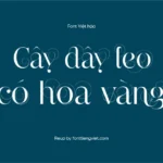 Font Việt hóa UVF NarzissSwirls