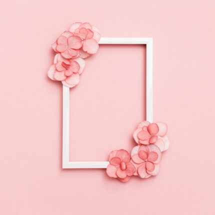 Plain natural Hydrangea flowers, minimal floral style pastel pink blossom arrangement. Flowery frame for festive summer cards or invitations with copy space.