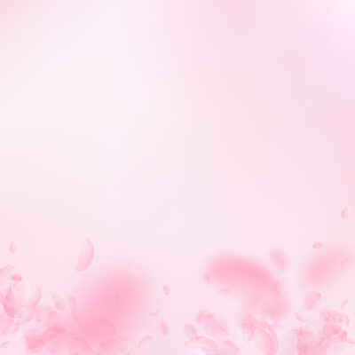 Sakura petals falling down. Romantic pink flowers gradient. Flying petals on pink square background. Love, romance concept. Breathtaking wedding invitation.