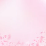 Sakura petals falling down. Romantic pink flowers gradient. Flying petals on pink square background. Love, romance concept. Brilliant wedding invitation.