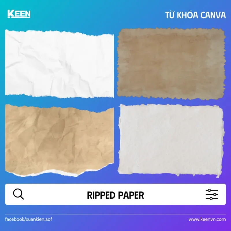 Ripped Paper