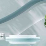 Green plant is shelf with green leaf