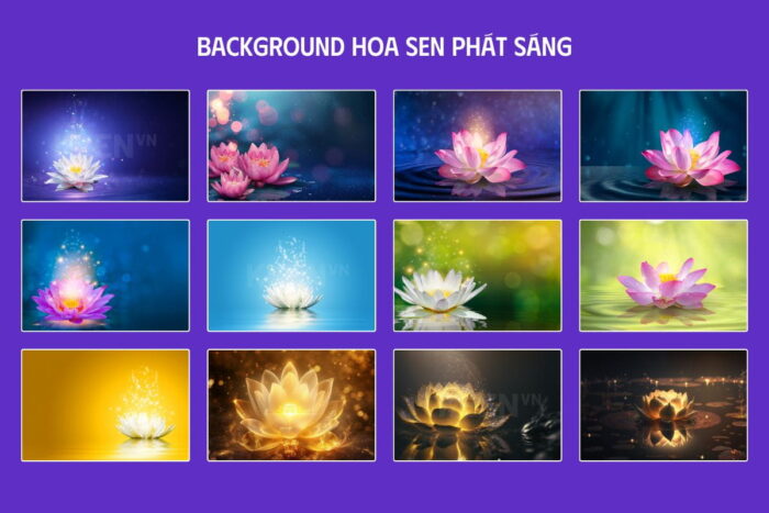 Background hoa sen phát sáng