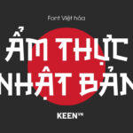 Font Việt hóa 1FTV Akisa