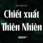 Font Việt hóa 1FTV Pacho