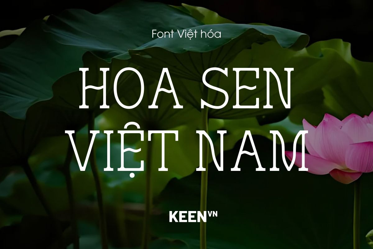 Font tiếng Việt Hoa Sen Typeface