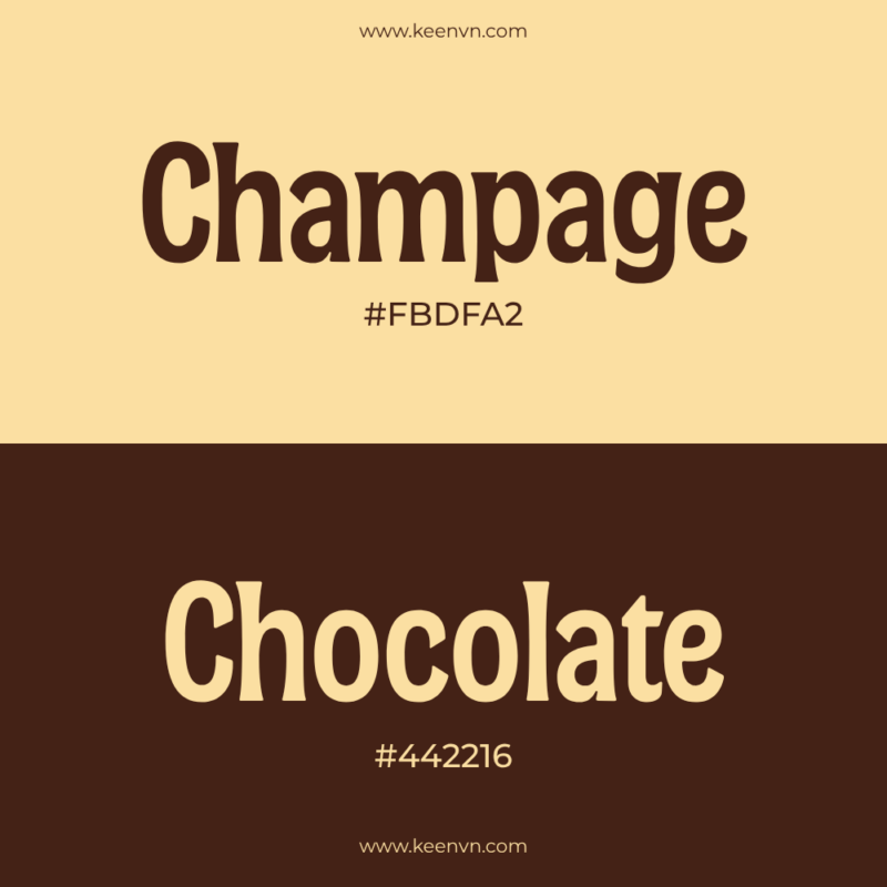 Top 15 cặp màu đẹp cho thiết kế chuyên nghiệp - Champage (#FBDFA2) và Chocolate (#442216)
