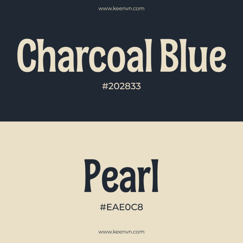 Top 15 cặp màu đẹp cho thiết kế chuyên nghiệp - Charcoal Blue (#202833) và Pearl (#EAE0C8)