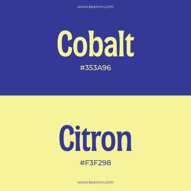 Top 15 cặp màu đẹp cho thiết kế chuyên nghiệp - Cobalt (#353A96) và Citron (#F3F298)