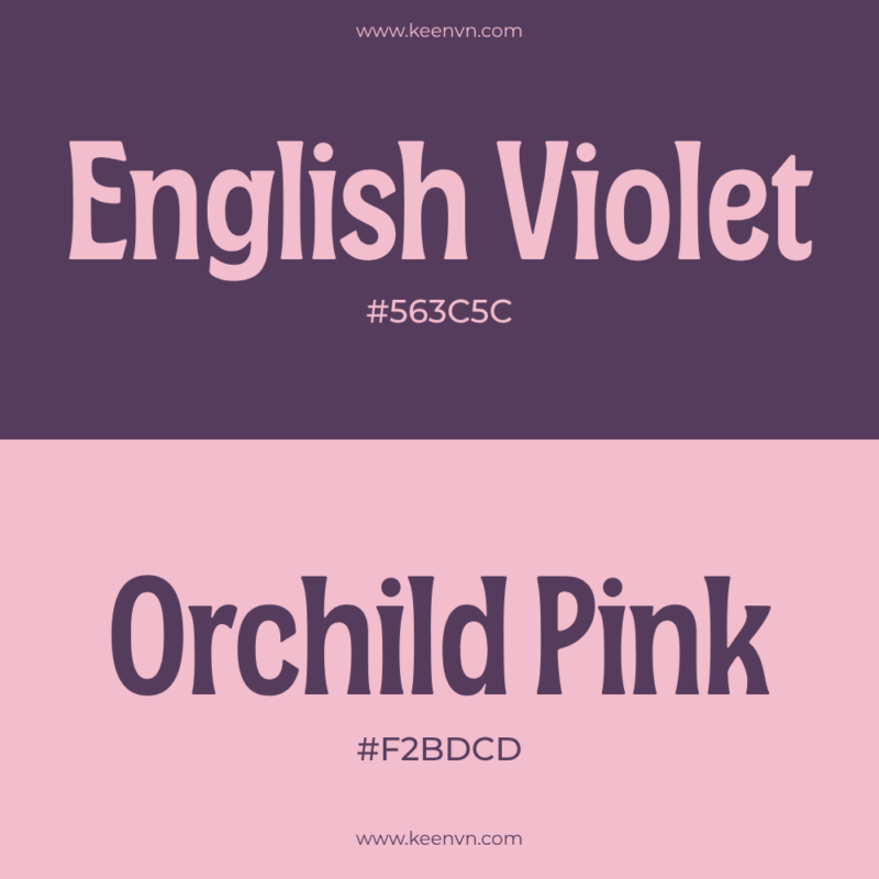 Top 15 cặp màu đẹp cho thiết kế chuyên nghiệp - English Violet (#563C5C) và Orchid Pink (#F2BDCD)