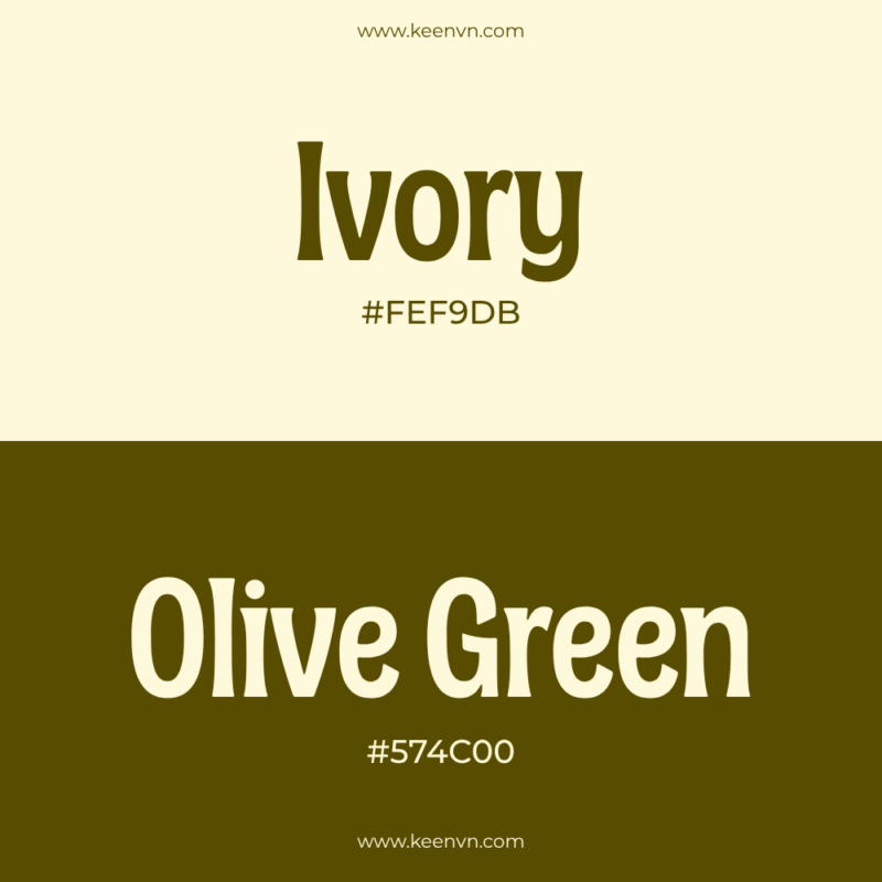 Top 15 cặp màu đẹp cho thiết kế chuyên nghiệp - Ivory (#FEF9E8) và Olive Green (#576C00)